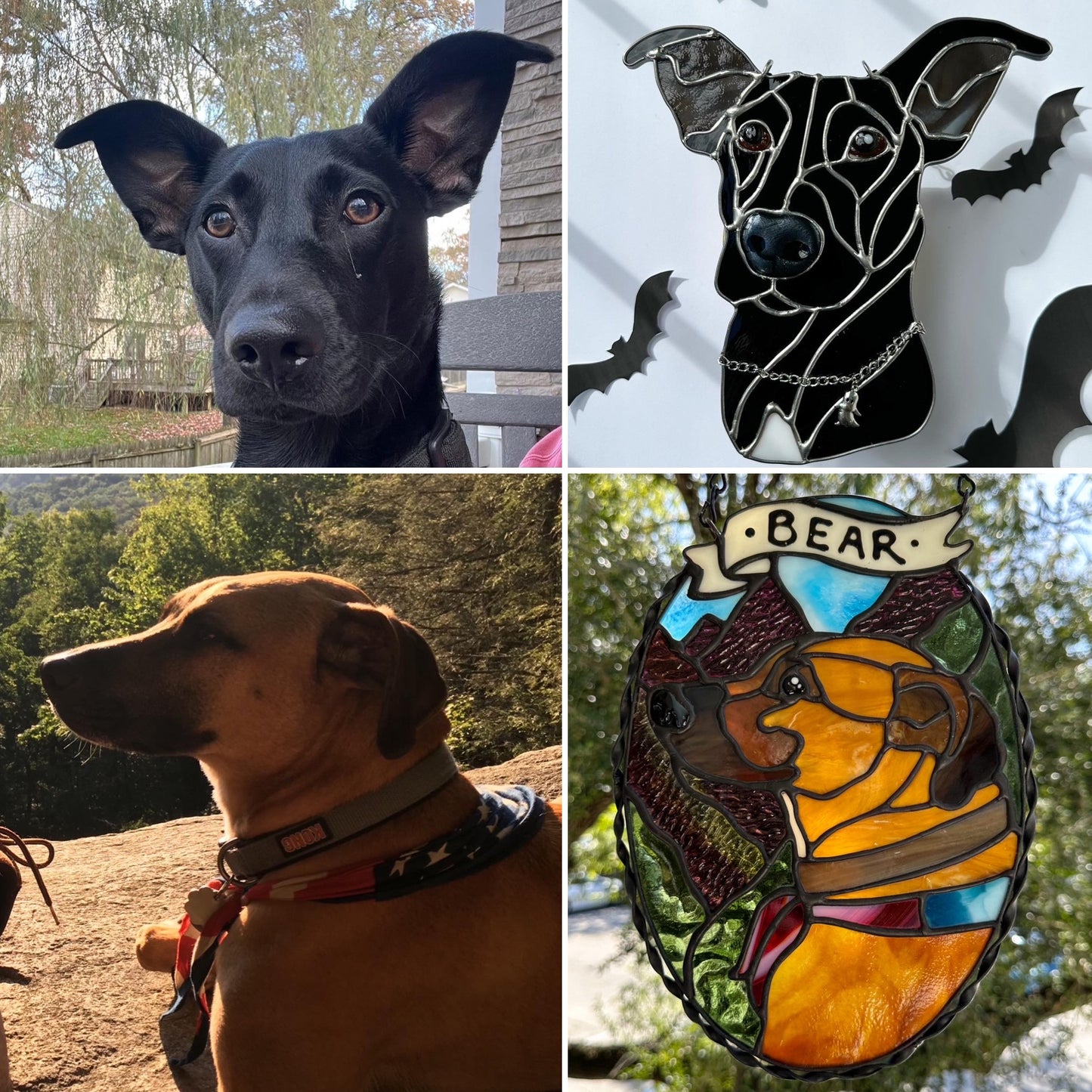 Custom Pet Portrait *DEPOSIT*